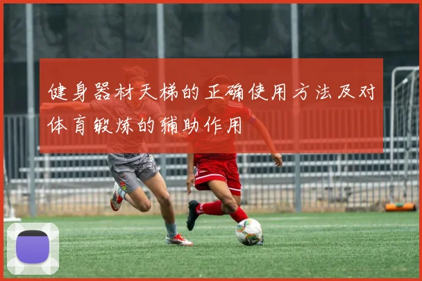 健身器材天梯的正确使用方法及对体育锻炼的辅助作用