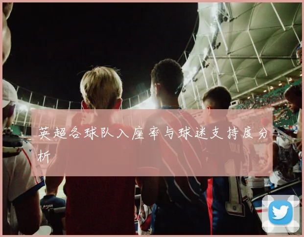 英超各球队入座率与球迷支持度分析