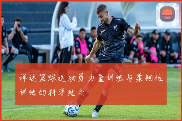 详述篮球运动员力量训练与柔韧性训练的科学结合