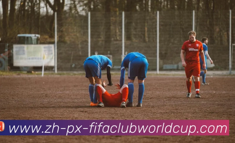 世界杯赛程平台生态图